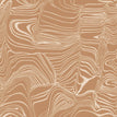 S03 Pastry Shell