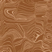 S05 Glazed Ginger