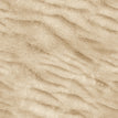 S01 Biscotti