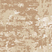 S01 Biscotti