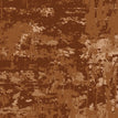 S05 Glazed Ginger