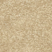 W01 Soybean