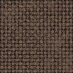 N06 Partridge
