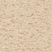 S01 Biscotti