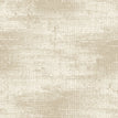 N01 White Asparagus