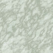 SG01 Green Tint